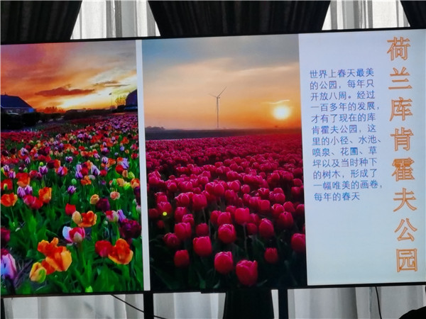四川中(zhōng)青旅绵阳分社独家定制(zhì)圆梦欧洲系(xì)列 - 大(dà)全景 9 国(guó) 16 天 德国(guó)-法国-瑞士-意(yì)大利-奥地利-荷(hé)兰-比利时-列支敦士登-卢森堡(bǎo)